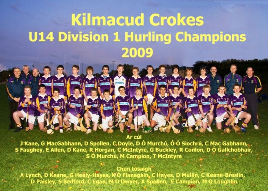 Kilmacud Crokes, U14 Div 1 Hurilng Champions, 2009