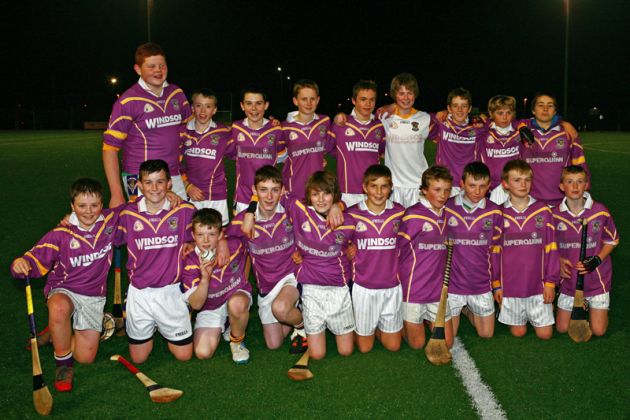 Kilmacud Crokes U13 Hurlers - Div 1 Champions 2012