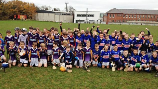 Crokes and Sarsfields U10s 
