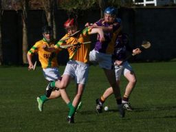 2014_03_23_IMG_309