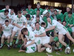 ballyhale-shamrocks-players-celebrate-with-the-cup-11112012-390x285