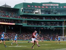 fenway
