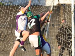 AHL2 action v Parnells