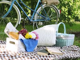 Its Picnic Time...Help Us Celebrate 20 Years