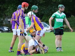 AHL1 v Lucan