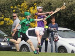 MHL1 v Lucan