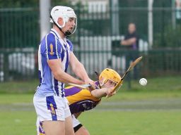 MHCA v Boden