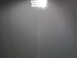 SHCA v Cr Chiarain