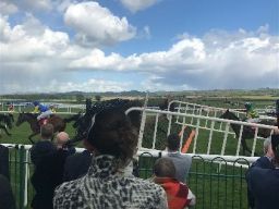 Punchestown 2017 - 15 years On