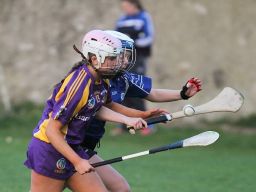 Senior 1 Camogie Team finish out league