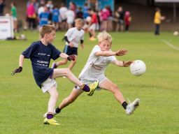 More Mini All Ireland Shots