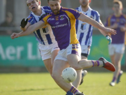 Shane Horan AIG/The Herald player of the month for April.