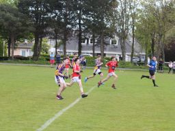 Feile Update