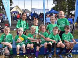 Photos from Mini All Ireland Hurling Finals