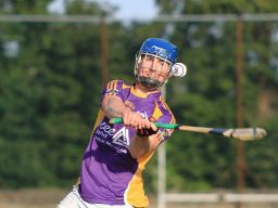 Senior B Hurlers vs Round Towers in Championship