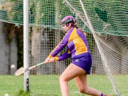 Snr Camogie Team Win Over Erin's Isle