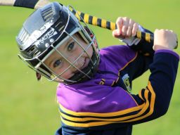 Go Game no. 8 versus Westmanstown Gaels away at Westmanstown Sunday 16th September