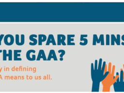 GAA Brand Survey 