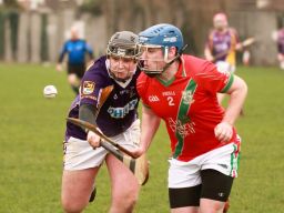 Winning start for AHL4 Hurling Team