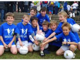 Access to Club for 1st week of Mini All Ireland's – 3rd June to 7th June – Important Please Read