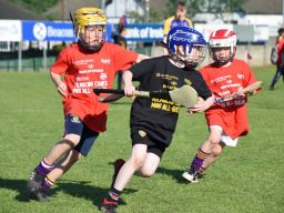 Photos from the BOI Hurling Mini All-Irelands
