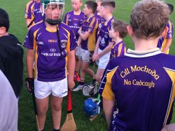 Kilmacud Crokes Under 12 Hurlers Camaint Winners