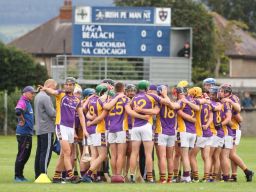 Senior A Hurlers through to Championship Quarter Finals