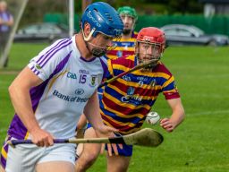 Senior B Hurlers Championship QF Kilmacuud Crokes Versus against Scoil Uí Chonaill