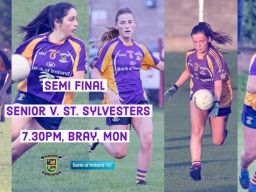 Traffic Restrictions for Ladies Senior Semi Final - Bray Emmets - Monday 23rd September
