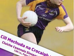 Cluiche Ceannais Sinsearach Chraobh na mBan