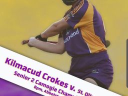 Senior Camogie Final
