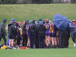 Biter end to Minor A Camogie Championship