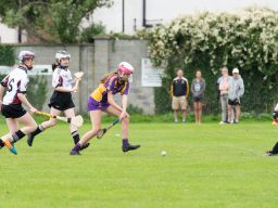 Camogie U15 Division 2 League  Kilmacud Crokes Versus Good Counsel
