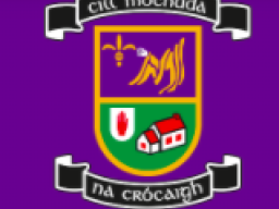 Camogie AGM 