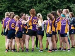 Notice for 2020 Ladies Football AGM
