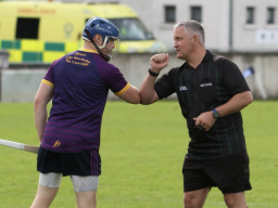 Kilmacud Crokes Hurling Section AGM Sunday March 7th at 8pm