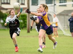 Ladies Football Go-Ahead Adult Cup Division 3b  Kilmacud Crokes Versus St Peregrines