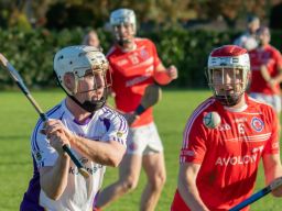 Senior B Hurlers into Final