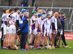 Senior A Hurlers through to Leinster Semi Final