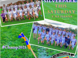 Kilmacud Crokes in Football  Championship Action -  Final this Saturday afternoon!