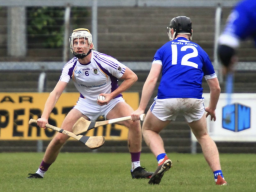Hurling Section AGM