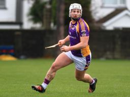 AHL1 vs Ballyboden St Endas