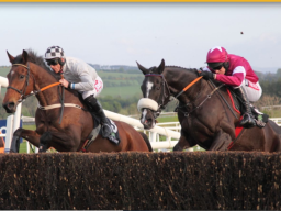 Kilmacud Crokes Hurling Fundraising Punchestown  Corporate Race day on April 26th 2022