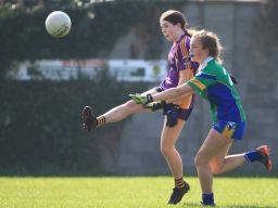 U15 Ladies Football vs Clanna Gael /Fontenroy