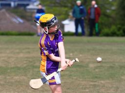 U12 Hurling A Grading Gp.1 vs St Vincents