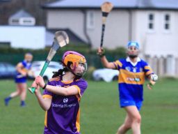 Camogie Seniors vs Castleknock