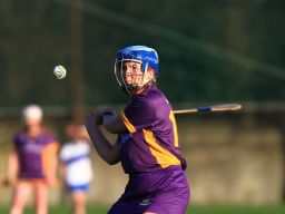 Senior Camogie Team vs St Vincents