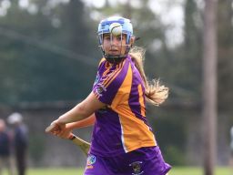 Camogie U18 Div 1 vs Lucan Sarsfields