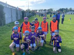 Half time games at Senior Hurling match