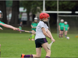 The Mini All Irelands Are Back - See Team Sheets and Schedule for Week 2 Which is Camogie